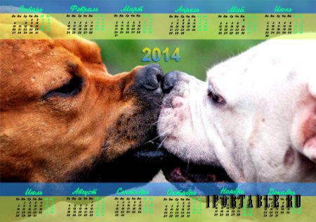  Настенный календарь - Влюблённые собачки 