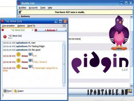 Pidgin 2.10.8 Rus Portable - интернет-пейджер