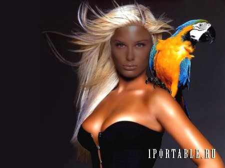  Шаблон psd - Блондинка с красочным попугаем 