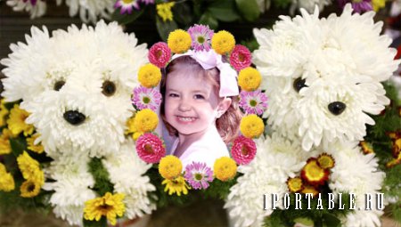  Детская рамка для Photoshop - Красота из хризантем 