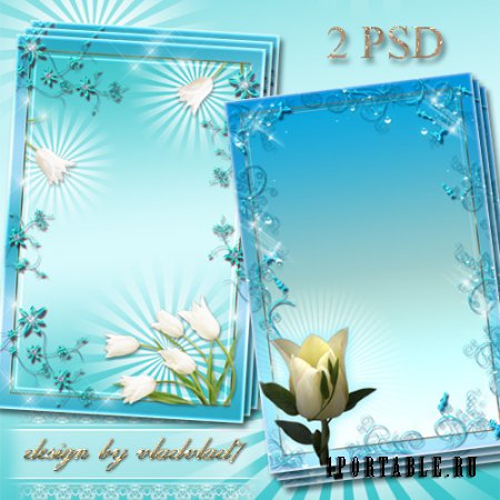Цветочные рамки для фотошопа - Белые тюльпаны в голубом обрамлении