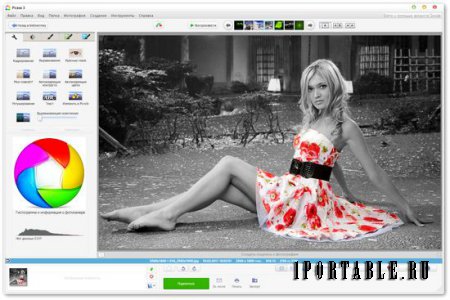 Picasa 3.9.137.141 Rus Portable - редактор фотографий