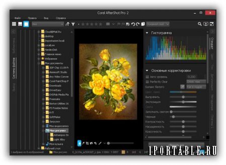 Corel AfterShot Pro 2.0.3.25 Portable (x86/x64) - профессиональная обработка и управление фотографиями