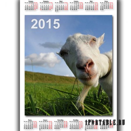  Красивый календарь - Задумчивая коза 
