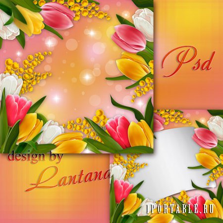 PSD исходник - Тюльпаны - дивные цветы, предвестники рождения весны