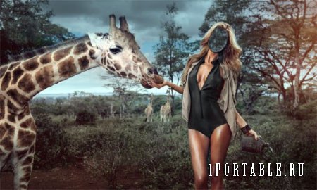  Шаблон для Photoshop - Среди жирафов 