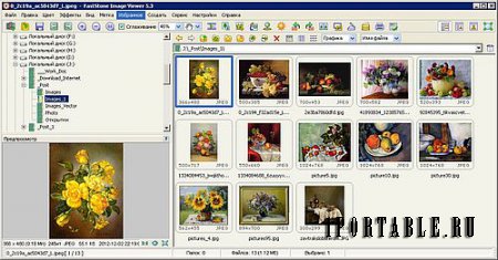 FastStone Image Viewer 5.3 Corporate Portable - Многофункциональный браузер изображений, конвертер и редактор