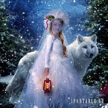  Шаблон для фотошопа - В ночном лесу с белым волком 