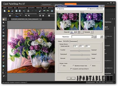 Corel PaintShop Pro X7 v17.2.0.16 Portable by PortableApps + Руководство - профессиональное редактирование фотографий
