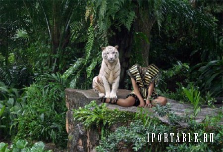  Шаблон для фотомонтажа - На скале с белым тигром 