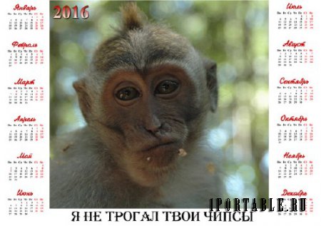  Календарная сетка - Маленькая обезьянка 