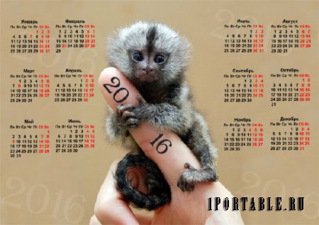 На 2016 год календарь - Маленькая обезьянка