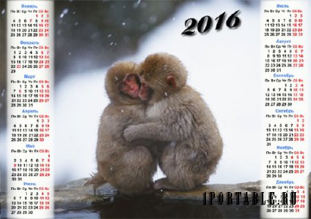  Календарь настенный - Две обезьяны греются зимой 