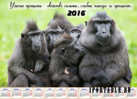  На 2016 год календарь - Уметь простить 