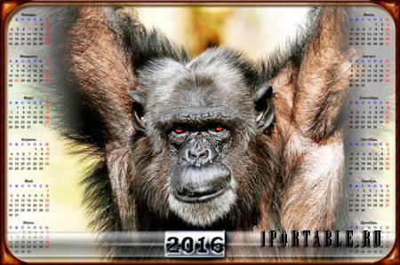 Календарь - Грозный шимпанзе