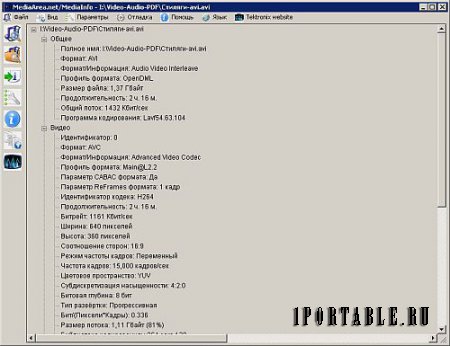 VideoInspector 2.8.2.134 Portable + кодек - полная информация о видео-файле
