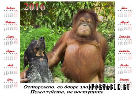  Настенный календарь - Орангутанг с собакой 