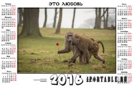  На 2016 год календарь - Пара обезьян 