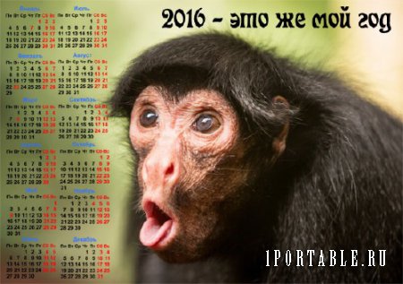  Настенный календарь - Год обезьяны 