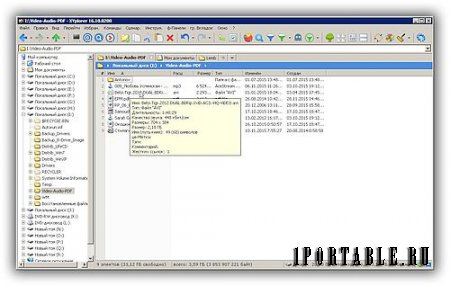 XYplorer 16.10.0200 Portable - настраиваемый файловый менеджер