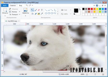 PicPick 4.1.1 Rus Portable - графический редактор