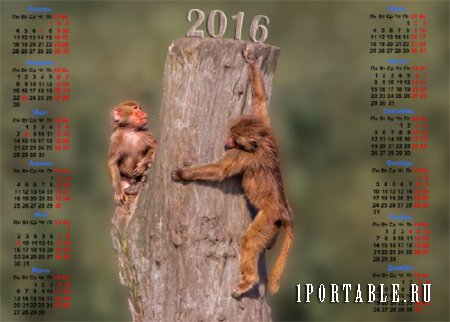  Календарь на 2016 год - 2 обезьянки на дереве 