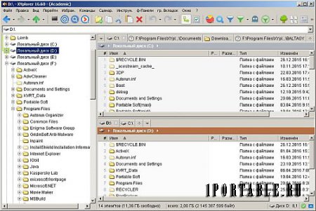 XYplorer 16.60 Portable by Baltagy - настраиваемый файловый менеджер