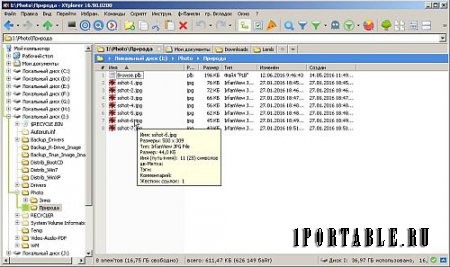 XYplorer 16.90.0200 Portable by TryRooM - настраиваемый файловый менеджер