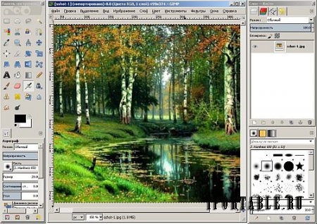 GIMP 2.8.16.4 Portable + Руководство by PortableApps - графический редактор для цифровых художников