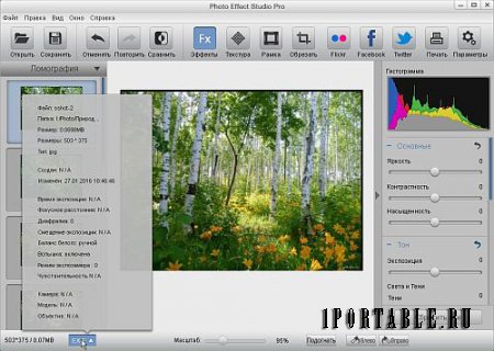 Photo Effect Studio Pro 4.1.3 Portable - улучшение цифровых фотографий