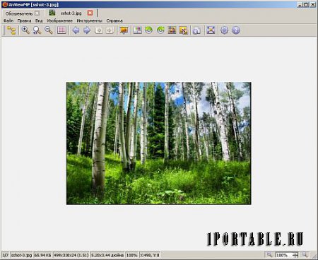 XnViewMP 0.80 Portable - продвинутый медиа-браузер, просмотрщик изображений, конвертор и каталогизатор