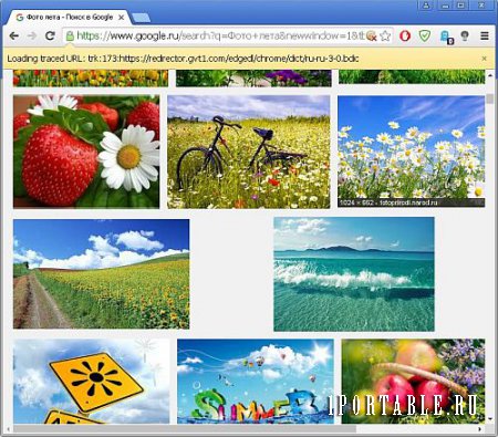 Iridium Browser 51.1.0.0 Final Portable - стабильный браузер с улучшенной приватностью пользователя
