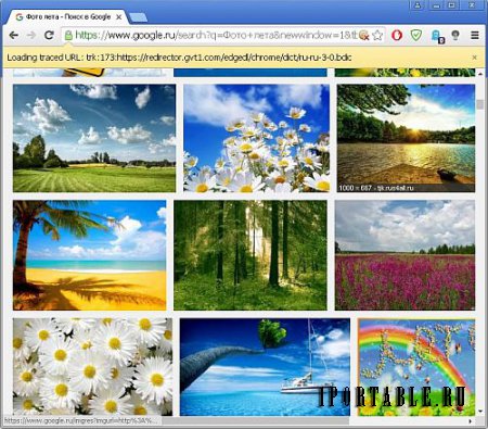 Iridium Browser 51.1.0.0 Final Portable - стабильный браузер с улучшенной приватностью пользователя