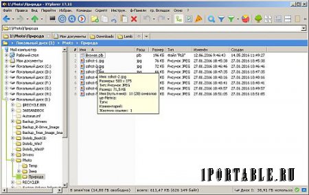 XYplorer 17.10 Portable by TryRooM - настраиваемый файловый менеджер
