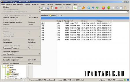 XYplorer 17.10 Portable by TryRooM - настраиваемый файловый менеджер