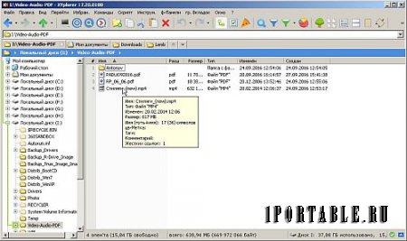 XYplorer 17.20.0100 Portable by TryRooM - настраиваемый файловый менеджер