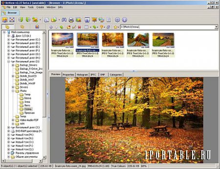 XnView 2.37 beta 2 Portable - продвинутый графический редактор, медиа-браузер и конвертер