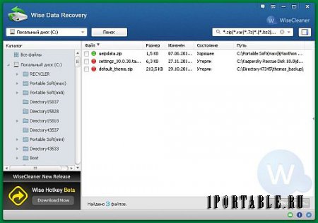 Wise Data Recovery 3.86.204 ML Portable - восстановление случайно удалённых файлов