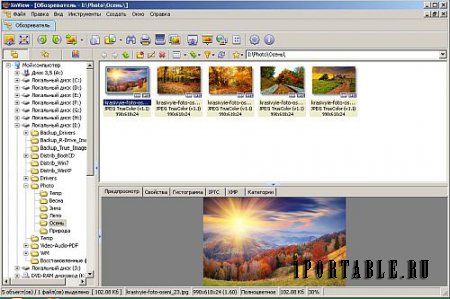 XnView 2.39 Extended Portable by Team FFF - продвинутый графический редактор, медиа-браузер и конвертер