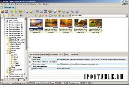 XnView 2.39 Extended Portable by Team FFF - продвинутый графический редактор, медиа-браузер и конвертер