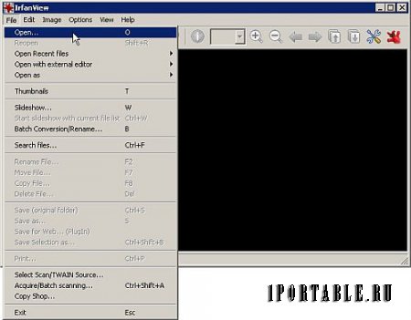 IrfanView 4.44 En Portable by Baltagy - графический редактор для обработки изображений