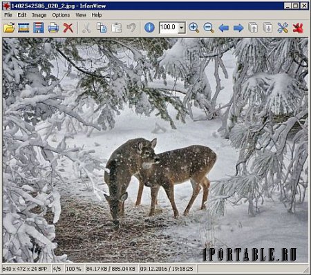 IrfanView 4.44 En Portable by Baltagy - графический редактор для обработки изображений