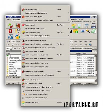 Total Commander 9.0a Minimal v6 Portable by pcDenPro - стабильный файловый менеджер