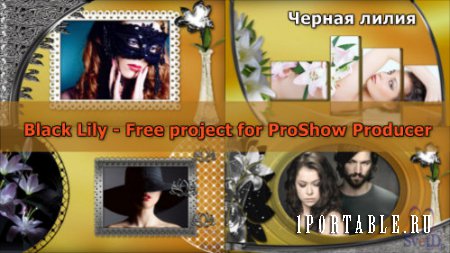 Проект для ProShow Producer - Черная лилия