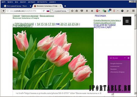 FireFox 45.8.0 ESR Portable + Расширения by PortableApps - безопасный браузер с удлиненным сроком поддержки