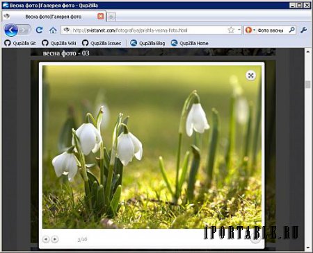 QupZilla 2.1.2 Portable - Быстрый и простой в использовании кроссплатформенный веб-браузер