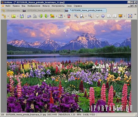 XnView 2.40 Extended Portable by PortableAppZ - продвинутый графический редактор, медиа-браузер и конвертер