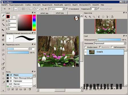FireAlpaca 1.7.3 Portable  by CheshireCat - растровый графический редактор