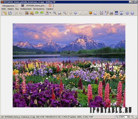 XnViewMP 0.86 Portable - продвинутый медиа-браузер, просмотрщик изображений, конвертор и каталогизатор
