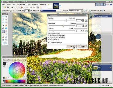 Paint.Net 4.0.16 Portable + Plugins by CWER - Графмческий редактор для создания/редактирования изображений